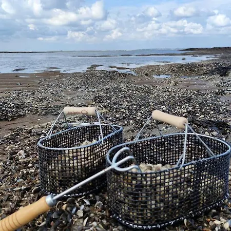 빌라 Maison 3 Avec Jacuzzi A 400m Des Plages 라 플랑-쉬르-메르